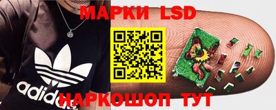 ПСИЛОЦИБИНОВЫЕ ГРИБЫ Северобайкальск