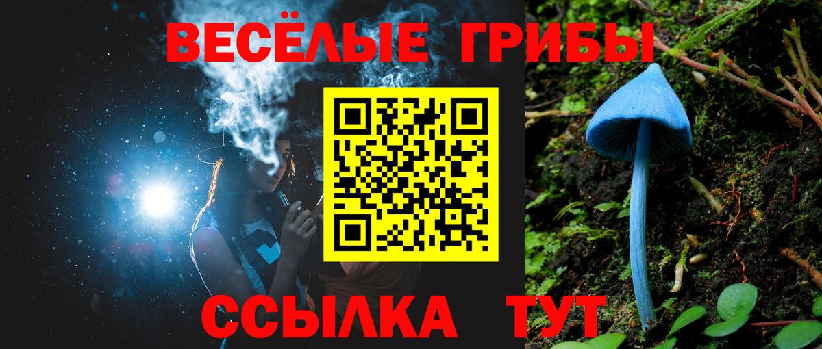 Псилоцибиновые грибы мицелий Отрадный